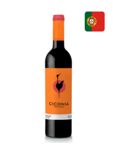 Ciconia Tinto Português — cardápio do jantar da Pousada Maple em Monte Verde MG